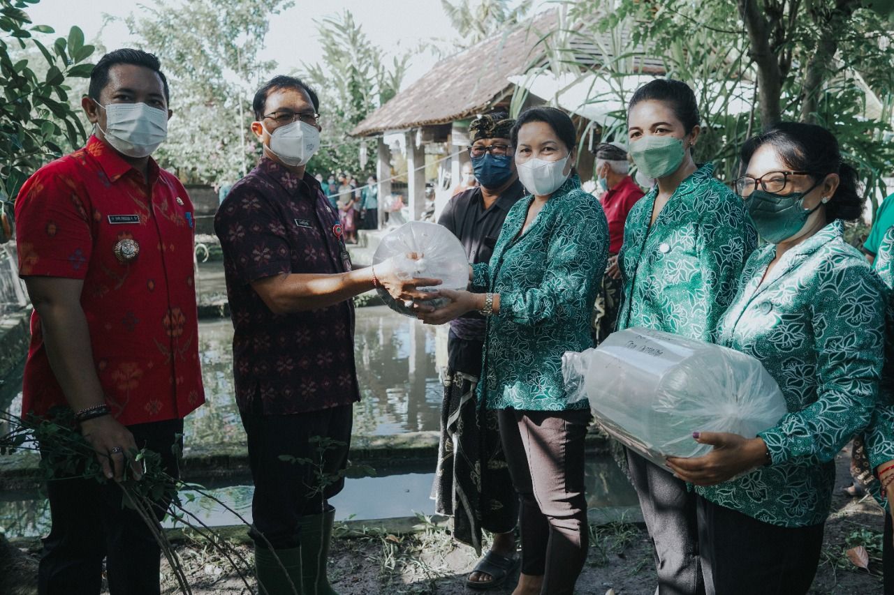 podiumnews.com-58 Ribu Benih Ikan Nila Dibagikan ke Enam Kecamatan di Badung